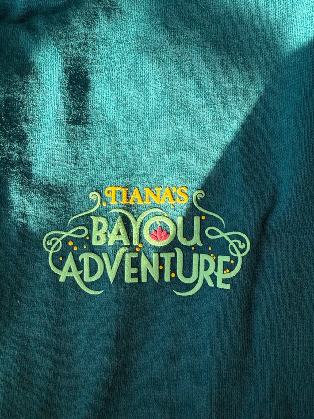 Disney Tiana's Bayou Adventure Teal Long Sleeve Tee